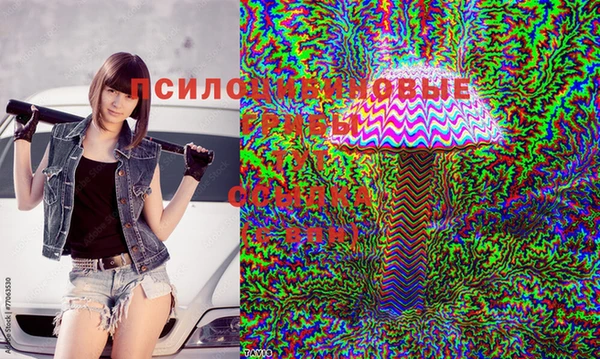 скорость Наволоки
